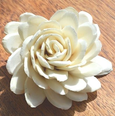 Sweet Elegant Rose   12 flowers