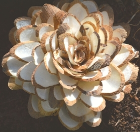 4cm Bark Flowers