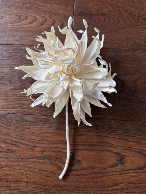 Premium Garden Daisies with rope Approx 15 cm 6 flowers