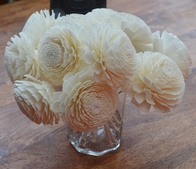 Premium Champagne Chrysanthemum with rope Approx 7 to 8cm 6 flowers