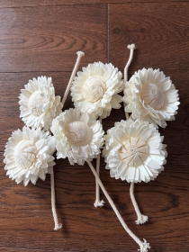 Premium Star Light Daisies with rope Approx 7 to 8 cm 6 flowers