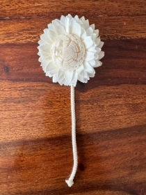 Premium Star Light Daisies with rope Approx 7 to 8 cm 6 flowers