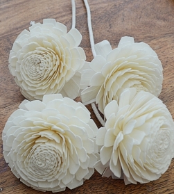 Premium Champagne Chrysanthemum with rope Approx 7 to 8cm 6 flowers