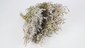 Dried Tatarica (German Statice) Natural