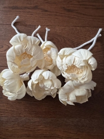 Majestic Peonies with rope Approx 8cm 6 flowers