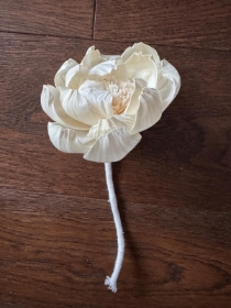Majestic Peonies with rope Approx 8cm 6 flowers