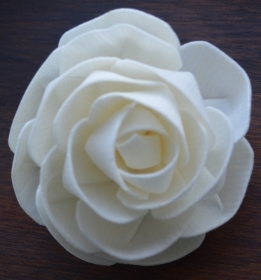Premium Amara Rose   6 flowers