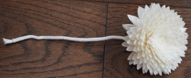Premium Cameo Phantom Dahlia with rope Approx 7 to 8 cm 6 flowers