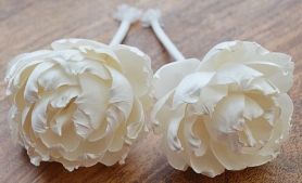 Premium Duchesse Peonies with rope Approx 8 cm 6 flowers