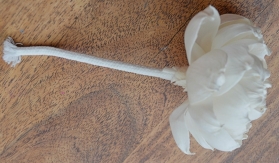 Premium Duchesse Peonies with rope Approx 8 cm 6 flowers