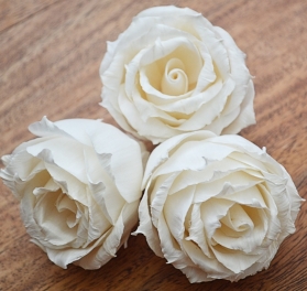 Premium English Rose 6 flowers