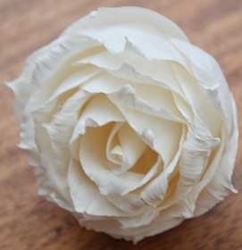 Premium English Rose 6 flowers