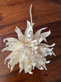 Premium Garden Daisies with rope Approx 15 cm 6 flowers