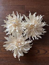 Premium Garden Daisies with rope Approx 15 cm 6 flowers