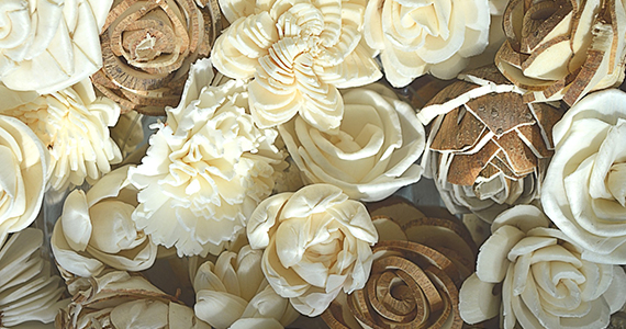 Sola wood shop flowers